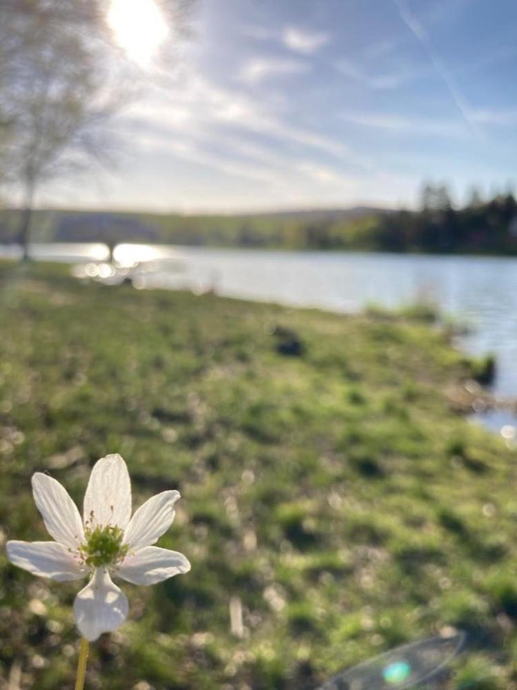 Valassky Hotel A Pivni Lazne Ogar Luhacovice Bagian luar foto